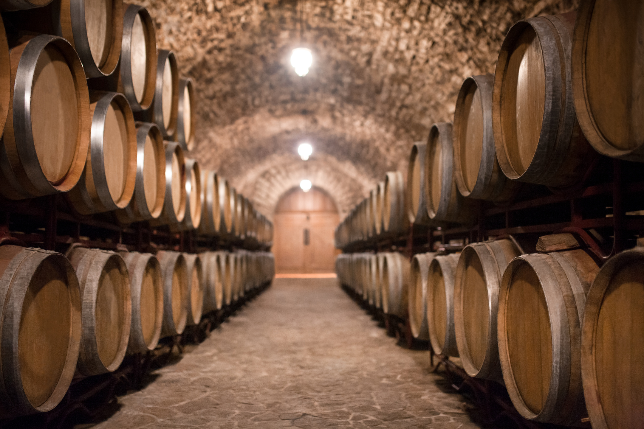 wine barrels. wine cellar and winery